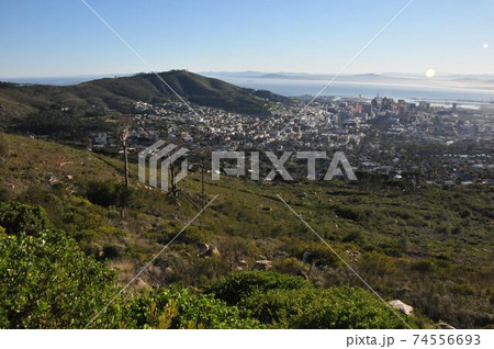 南アフリカ、ケープタウン、シグナル・ヒル、テーブル湾 74556693