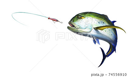Bluefin Trevally caranx fish attacks Popper Lures Topwater Fishing Baits. illustration realistic art isolated. Big fish Bluefin Jack scombridae jumps out of the water. 74556910
