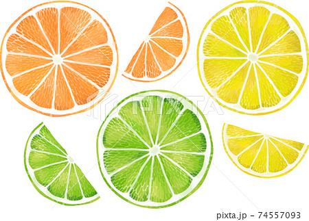 スライスオレンジ ライム レモンのビタミンカラー柑橘セット 線画なし ベクター素材のイラスト素材
