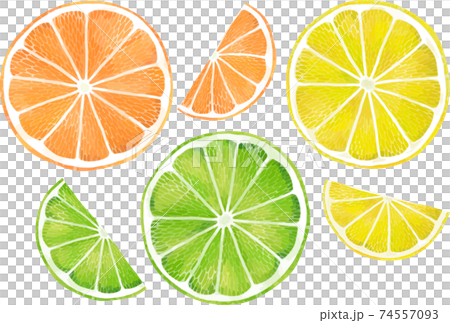 スライスオレンジ・ライム・レモンのビタミンカラー柑橘セット 線画なし ベクター素材 スライスオレンジ・ライム・レモンのビタミンカラー柑橘セット 線画なし ベクター素材 74557093
