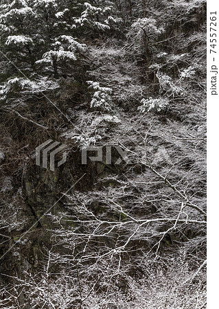丹波渓谷の雪景色 山梨県丹波山村 1月 丹波渓谷の雪景色 山梨県丹波山村 1月 74557261