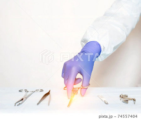 Doctor in a medical glove takes medical instruments on a white background. Animal care concept, veterinary clinic, copy space, neutering cats 74557404