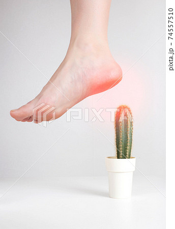 Human foot stepping on a cactus on a white... - Stock Photo [74557510] -  PIXTA