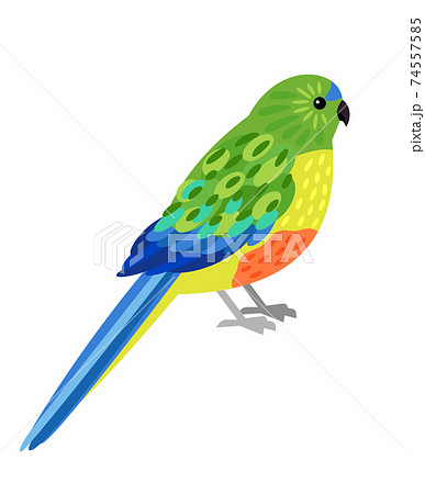 Tropical parrot character 74557585