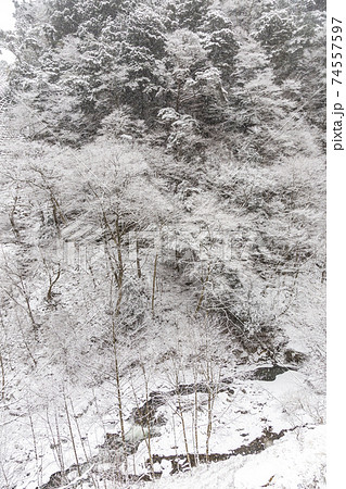 丹波渓谷の雪景色 山梨県丹波山村 1月 丹波渓谷の雪景色 山梨県丹波山村 1月 74557597