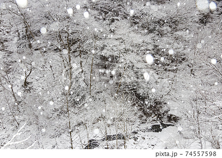 丹波渓谷の雪景色　山梨県丹波山村　1月 74557598