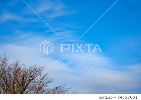 2月　青空とすじ雲 74557601