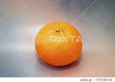 ミカン　はまさき　佐賀県産　ブランド柑橘　 74558416