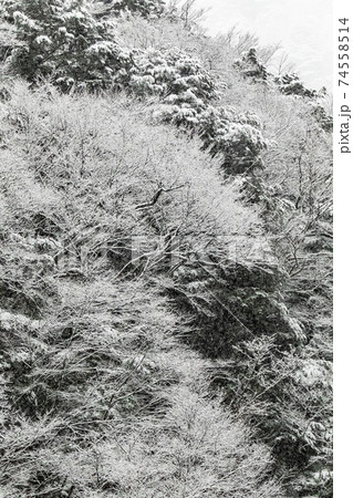 丹波山村　丹波渓谷から見る雪景色　1月 74558514