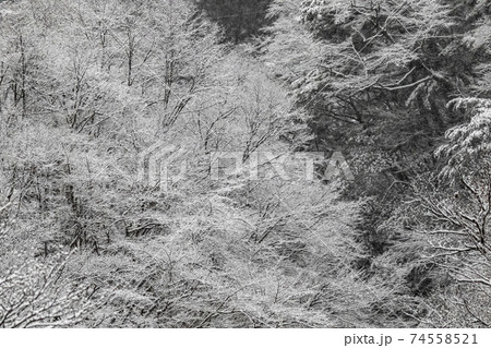 丹波山村　丹波渓谷から見る雪景色　1月 74558521