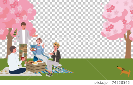 お花見をする男女のイラスト　桜　春 74558545