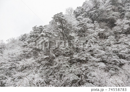丹波山村 丹波渓谷から見る雪景色 1月 丹波山村 丹波渓谷から見る雪景色 1月 74558783