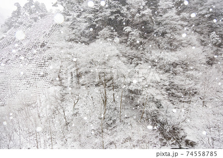 丹波山村 丹波渓谷から見る雪景色 1月 丹波山村 丹波渓谷から見る雪景色 1月 74558785