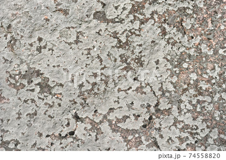 Stone surface. 74558820