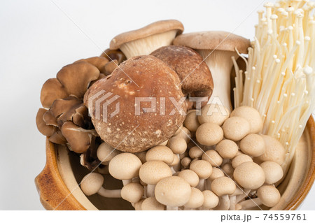 鍋に入った多種類の生のきのこ 74559761