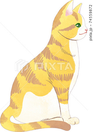 座っている茶トラ白猫 74559872