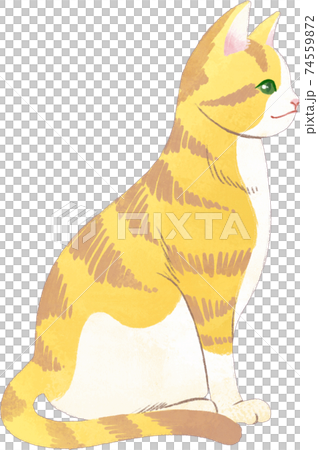 座っている茶トラ白猫 74559872