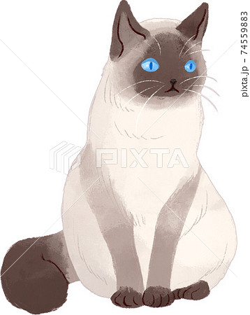 座っているラグドールのイラスト素材 座っているラグドールのイラスト素材