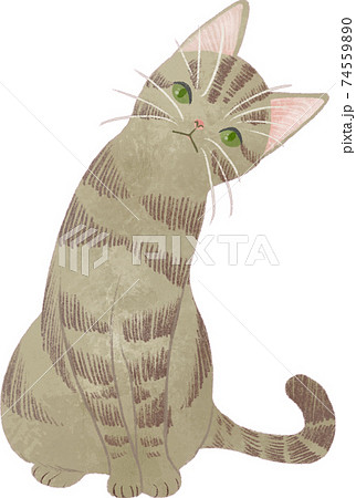 首を傾げているキジトラ猫のイラスト素材 首を傾げているキジトラ猫のイラスト素材