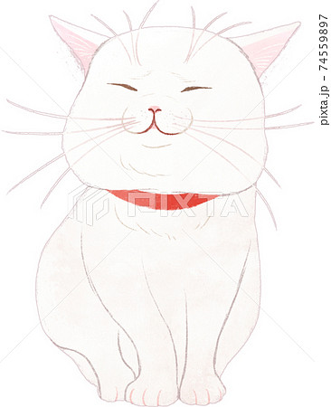 幸運のふくふく白猫のイラスト素材