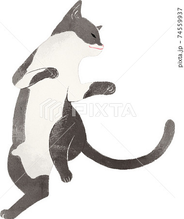 踊っている黒白猫のイラスト素材