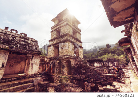 Palenque Palenque 74560323