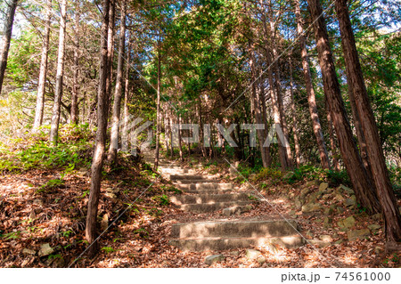 晴れた日の 登山道 <大麻山 徳島県> 晴れた日の 登山道 <大麻山 徳島県> 74561000