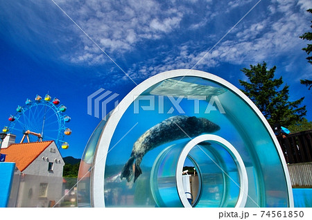 登別マリンパーク 登別マリンパーク 74561850