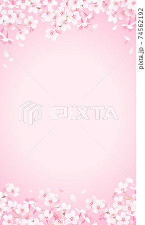 ピンク背景の桜のフレーム壁紙ベクターイラスト 縦 のイラスト素材