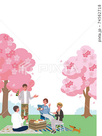お花見をする男女のイラスト　桜　春 74562718