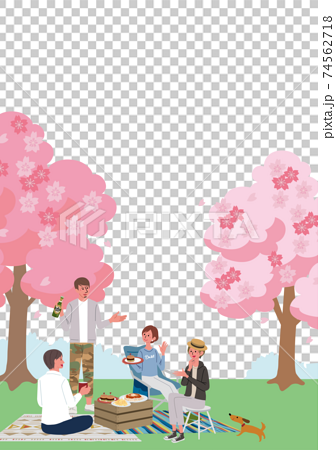 お花見をする男女のイラスト　桜　春 74562718