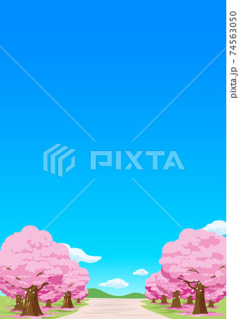 春の桜並木をイメージした背景素材縦のイラスト素材