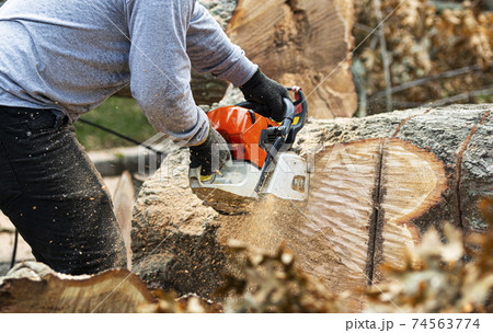 Close up of landscaper cutting up tree truncks with a chainsaw Close up of landscaper cutting up tree truncks with a chainsaw 74563774