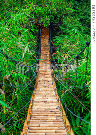 Suspension pedestrian bridge made from natural bamboo 74565293