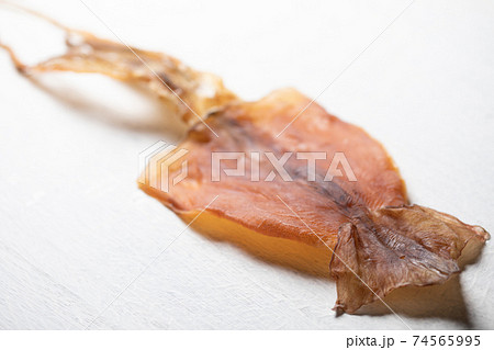 スルメイカ スルメイカ 74565995