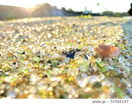 長崎県大村湾ガラスの砂浜　貝殻 74566197
