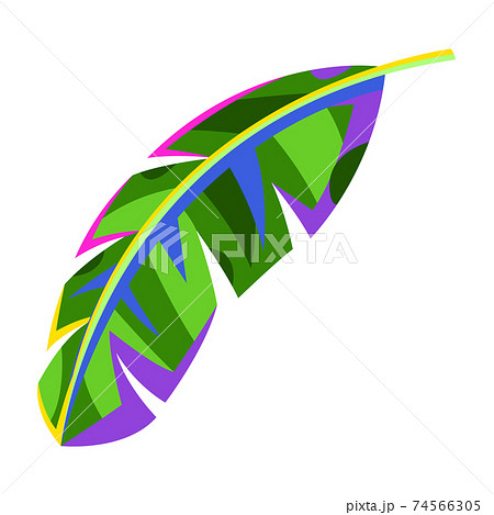 Illustration of stylized palm leaf. Illustration of stylized palm leaf. 74566305