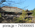 京都 74566665