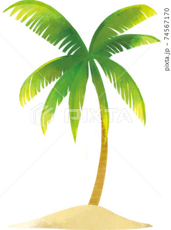 Palm tree - Stock Illustration [74567170] - PIXTA