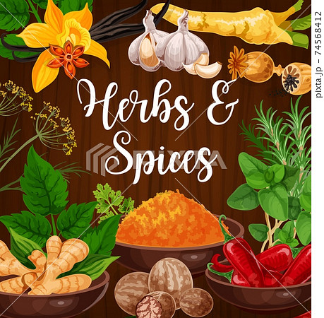 Aromatic kitchen herbs and exotic spices vector Aromatic kitchen herbs and exotic spices vector 74568412