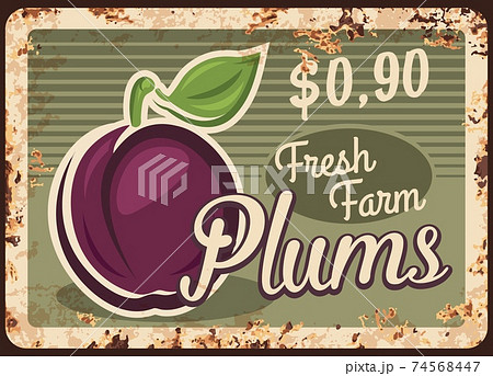 Plums rusty metal plate, vector vintage tin sign 74568447