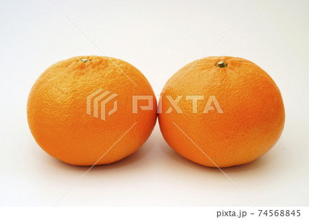 ブランドみかん　はまさき　佐賀県産　 74568845