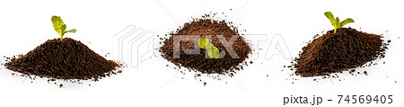 Roasted coffee ground on isolated white background Roasted coffee ground on isolated white background 74569405