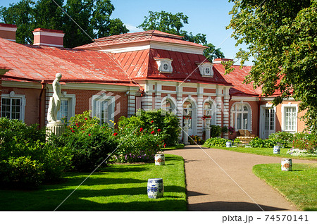 Golden statue of Samson in the park of Peterhof, Russia 74570141
