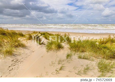 Landscape view of sand dune on the North sea coast 74572669