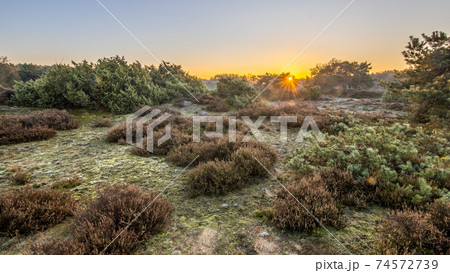 Heathland in hilly terrain on a cold morning 74572739