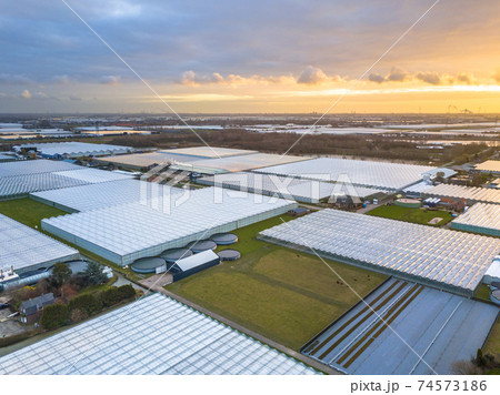 Aerial view of giant Greenhouse horticulture area Aerial view of giant Greenhouse horticulture area 74573186