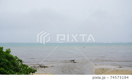 赤土が海に流れ出る 74573194