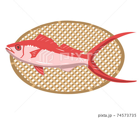 ハマダイ　ざる　線無し 74573735