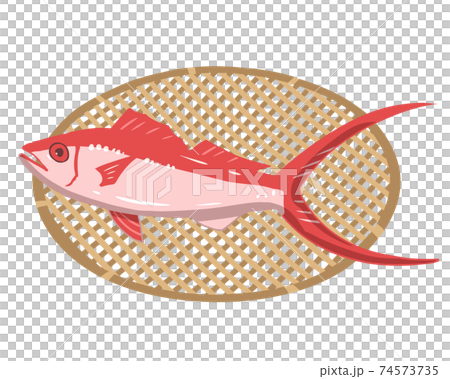 ハマダイ　ざる　線無し 74573735